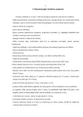 Motorika ir raumenys 3 puslapis