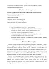 Motorika ir raumenys 4 puslapis