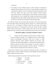 Motorika ir raumenys 9 puslapis