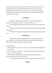 Oficialių pokalbių telefonu etiketas 5 puslapis