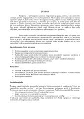 Pagyvenusių žmonių fizinio aktyvumo bei treniravimosi programa 2 puslapis