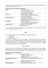 Pagyvenusių žmonių fizinio aktyvumo bei treniravimosi programa 4 puslapis