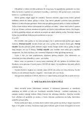 Pagrindiniai elgesio prie stalo reikalavimai 5 puslapis