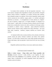 Protokoliniai vyrų aprangos reikalavimai 11 puslapis