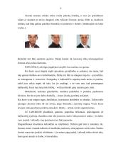 Protokoliniai vyrų aprangos reikalavimai 15 puslapis