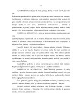 Protokoliniai vyrų aprangos reikalavimai 16 puslapis