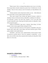 Protokoliniai vyrų aprangos reikalavimai 17 puslapis