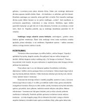 Protokoliniai vyrų aprangos reikalavimai 7 puslapis