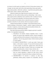 Protokoliniai vyrų aprangos reikalavimai 8 puslapis