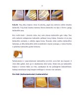 Protokoliniai vyrų aprangos reikalavimai 10 puslapis