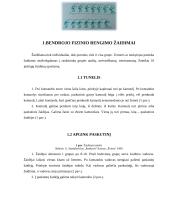 Sportininkų rengimo žaidimai 2 puslapis