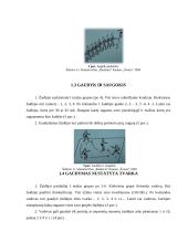 Sportininkų rengimo žaidimai 3 puslapis