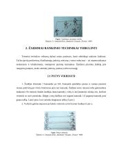 Sportininkų rengimo žaidimai 4 puslapis