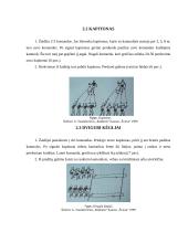 Sportininkų rengimo žaidimai 5 puslapis