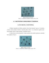 Sportininkų rengimo žaidimai 7 puslapis