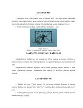 Sportininkų rengimo žaidimai 8 puslapis