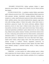 Rankų koordinacijos plaukiant krauliu ypatumai 5 puslapis