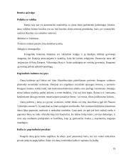 Skandinavijos šalys 19 puslapis