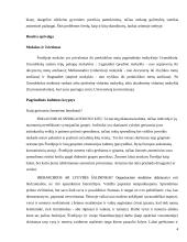 Skandinavijos šalys 4 puslapis