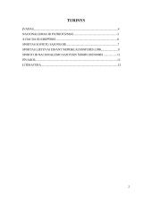 Sportas ir nacionalizmas 2 puslapis