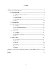 Sportinės krypties gimnastika 2 puslapis