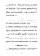 Sportinės krypties gimnastika 13 puslapis