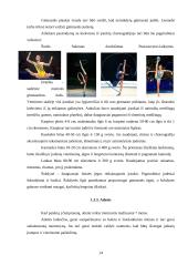 Sportinės krypties gimnastika 14 puslapis