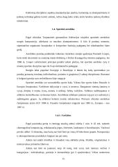 Sportinės krypties gimnastika 15 puslapis