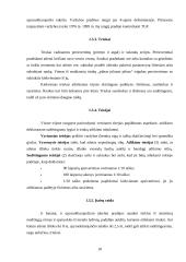 Sportinės krypties gimnastika 18 puslapis