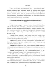 Sportinės krypties gimnastika 19 puslapis