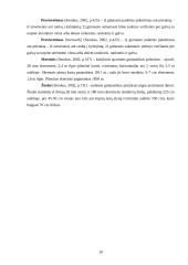 Sportinės krypties gimnastika 20 puslapis