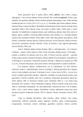 Sportinės krypties gimnastika 3 puslapis