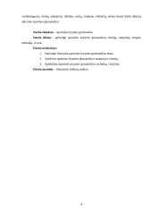 Sportinės krypties gimnastika 4 puslapis