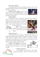 Sportinės krypties gimnastika 8 puslapis