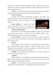 Sportinės krypties gimnastika 9 puslapis