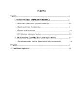 Stalo teniso charakteristika, bendri bruožai 2 puslapis