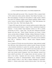 Stalo teniso charakteristika, bendri bruožai 4 puslapis