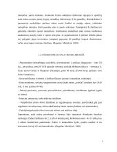 Stalo teniso charakteristika, bendri bruožai 7 puslapis