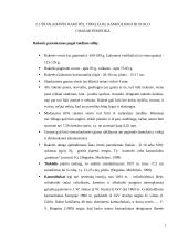 Stalo teniso charakteristika, bendri bruožai 9 puslapis