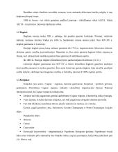 Stiprieji gėrimai: viskis, konjakas, degtinė 5 puslapis