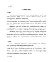 Stiprieji gėrimai: viskis, konjakas, degtinė 6 puslapis