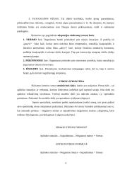 Stresas ir jo poveikis sportinei veiklai 4 puslapis