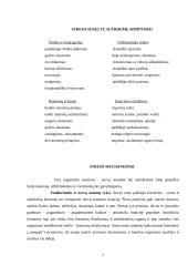 Stresas ir jo poveikis sportinei veiklai 7 puslapis