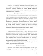 Susirinkimai. Konferencijos 10 puslapis