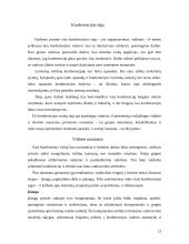 Susirinkimai. Konferencijos 12 puslapis