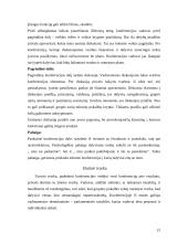 Susirinkimai. Konferencijos 14 puslapis