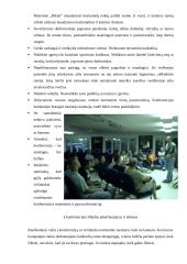 Susirinkimų bei konferencijų organizavimas 10 puslapis