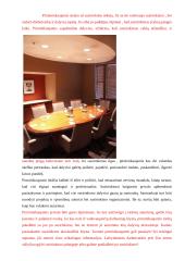 Susirinkimų bei konferencijų organizavimas 3 puslapis