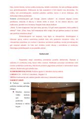 Susirinkimų bei konferencijų organizavimas 4 puslapis
