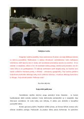 Susirinkimų bei konferencijų organizavimas 6 puslapis